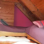 In Szopa Mit Garten Und Terrasse By Interhome Miechucino